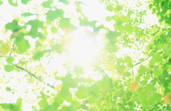 姫路市で疲れからのアトピーを早期予防する整体院｜Hact治療院